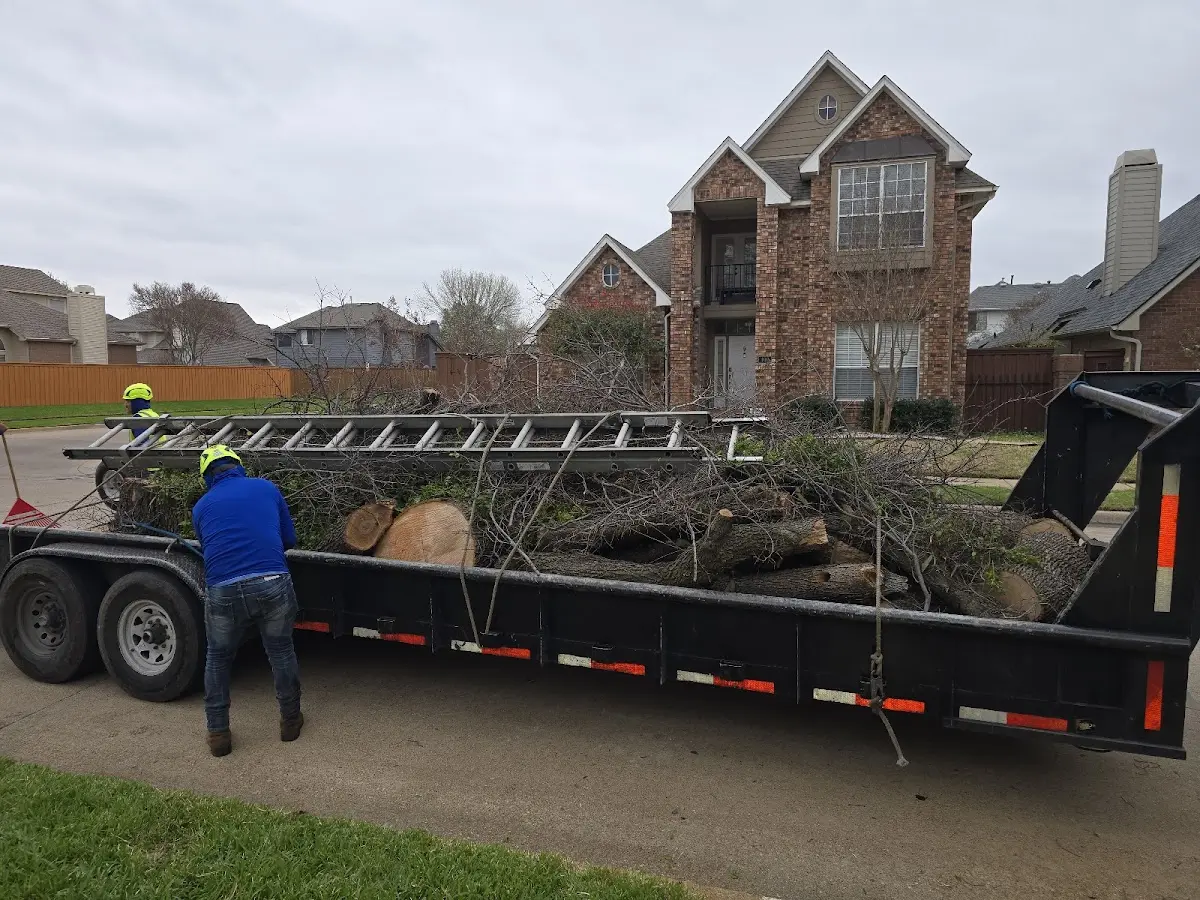 Expert Tree Removal with proper safety equipment in Mississippi State